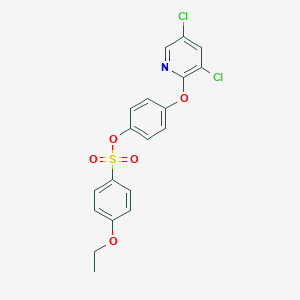 molecular formula C19H15Cl2NO5S B245182 4-[(3,5-Dichloro-2-pyridinyl)oxy]phenyl 4-ethoxybenzenesulfonate 