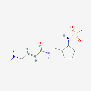 molecular formula C13H25N3O3S B2453892 (E)-4-(Dimethylamino)-N-[[2-(methanesulfonamido)cyclopentyl]methyl]but-2-enamide CAS No. 2411335-69-6