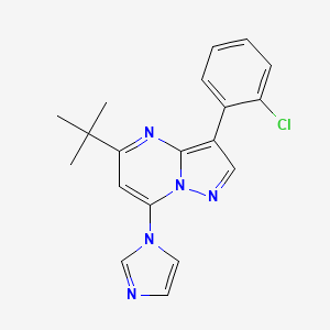 molecular formula C19H18ClN5 B2454642 5-叔丁基-3-(2-氯苯基)-7-(1H-咪唑-1-基)吡唑并[1,5-a]嘧啶 CAS No. 902311-21-1