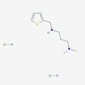 molecular formula C10H20Cl2N2S B2455352 [3-(Dimethylamino)propyl](thiophen-2-ylmethyl)amine dihydrochloride CAS No. 1049776-99-9