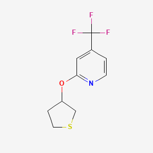 molecular formula C10H10F3NOS B2457053 2-(Thiolan-3-yloxy)-4-(trifluoromethyl)pyridine CAS No. 2176124-36-8