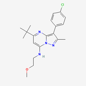 molecular formula C20H25ClN4O B2458201 5-叔丁基-3-(4-氯苯基)-N-(2-甲氧基乙基)-2-甲基吡唑并[1,5-a]嘧啶-7-胺 CAS No. 850762-74-2