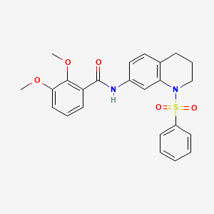 2,3-dimethoxy-N-(1-(phenylsulfonyl)-1,2,3,4-tetrahydroquinolin-7-yl)benzamide