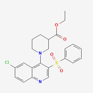 molecular formula C23H23ClN2O4S B2459556 Ethyl 1-(6-chloro-3-(phenylsulfonyl)quinolin-4-yl)piperidine-3-carboxylate CAS No. 866812-91-1