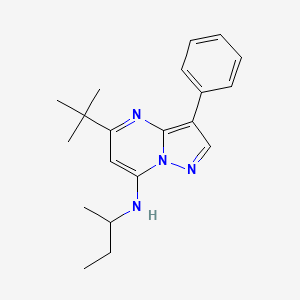 N-butan-2-yl-5-tert-butyl-3-phenylpyrazolo[1,5-a]pyrimidin-7-amine