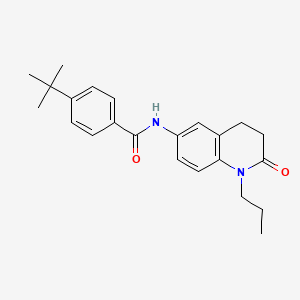 4-(tert-butyl)-N-(2-oxo-1-propyl-1,2,3,4-tetrahydroquinolin-6-yl)benzamide