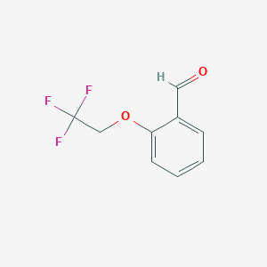 molecular formula C9H7F3O2 B2460094 2-(2,2,2-Trifluoroethoxy)benzaldehyde CAS No. 145742-43-4