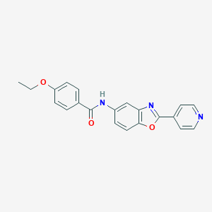 molecular formula C21H17N3O3 B246050 4-ethoxy-N-(2-pyridin-4-yl-1,3-benzoxazol-5-yl)benzamide 