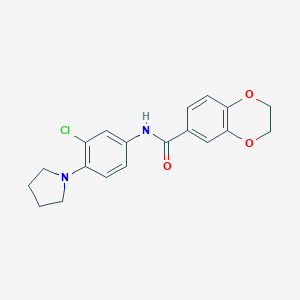 molecular formula C19H19ClN2O3 B246061 N-(3-chloro-4-pyrrolidin-1-ylphenyl)-2,3-dihydro-1,4-benzodioxine-6-carboxamide 