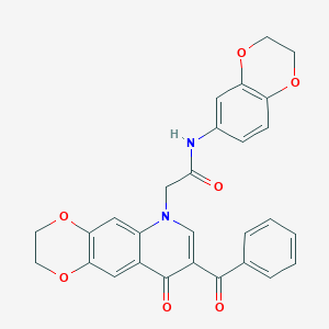 molecular formula C28H22N2O7 B2460884 2-(8-benzoyl-9-oxo-2,3-dihydro-[1,4]dioxino[2,3-g]quinolin-6-yl)-N-(2,3-dihydro-1,4-benzodioxin-6-yl)acetamide CAS No. 866341-72-2