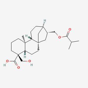 molecular formula C24H38O5 B2460925 (1S,4S,5R,9S,10R,13R,14R)-5-(Hydroxymethyl)-9-methyl-14-(2-methylpropanoyloxymethyl)tetracyclo[11.2.1.01,10.04,9]hexadecane-5-carboxylic acid CAS No. 196619-49-5