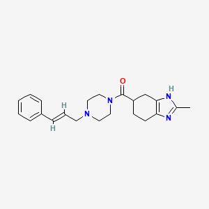 molecular formula C22H28N4O B2461775 (E)-(4-cinnamylpiperazin-1-yl)(2-methyl-4,5,6,7-tetrahydro-1H-benzo[d]imidazol-5-yl)methanone CAS No. 2035037-00-2