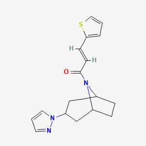 (E)-1-((1R,5S)-3-(1H-pyrazol-1-yl)-8-azabicyclo[3.2.1]octan-8-yl)-3-(thiophen-2-yl)prop-2-en-1-one