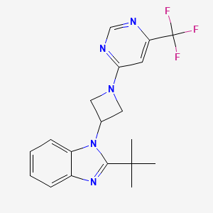 molecular formula C19H20F3N5 B2463399 2-tert-butyl-1-{1-[6-(trifluoromethyl)pyrimidin-4-yl]azetidin-3-yl}-1H-1,3-benzodiazole CAS No. 2415499-62-4
