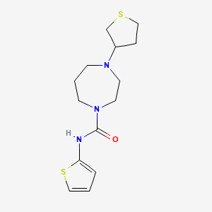 molecular formula C14H21N3OS2 B2463445 4-(四氢噻吩-3-基)-N-(噻吩-2-基)-1,4-二氮杂环戊烷-1-甲酰胺 CAS No. 2320212-61-9