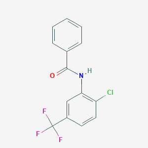 molecular formula C14H9ClF3NO B246350 N-[2-chloro-5-(trifluoromethyl)phenyl]benzamide 