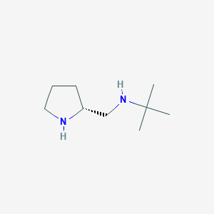 molecular formula C9H20N2 B2464088 2-甲基-N-[[(2R)-吡咯烷-2-基]甲基]丙-2-胺 CAS No. 1846717-19-8