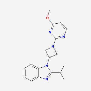 1-[1-(4-methoxypyrimidin-2-yl)azetidin-3-yl]-2-(propan-2-yl)-1H-1,3-benzodiazole