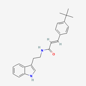 molecular formula C23H26N2O B2464572 (E)-3-(4-tert-butylphenyl)-N-[2-(1H-indol-3-yl)ethyl]prop-2-enamide CAS No. 256955-33-6