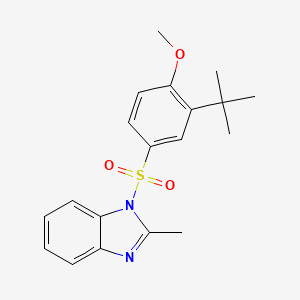 molecular formula C19H22N2O3S B2464584 1-[(3-tert-butyl-4-methoxyphenyl)sulfonyl]-2-methyl-1H-benzimidazole CAS No. 873587-05-4