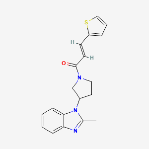 (E)-1-(3-(2-methyl-1H-benzo[d]imidazol-1-yl)pyrrolidin-1-yl)-3-(thiophen-2-yl)prop-2-en-1-one
