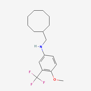 molecular formula C17H24F3NO B2465608 N-(Cyclooctylmethyl)-4-methoxy-3-(trifluoromethyl)aniline CAS No. 1397217-35-4