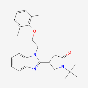 1-(tert-butyl)-4-(1-(2-(2,6-dimethylphenoxy)ethyl)-1H-benzo[d]imidazol-2-yl)pyrrolidin-2-one
