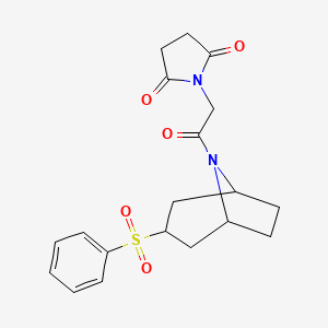 1-(2-oxo-2-((1R,5S)-3-(phenylsulfonyl)-8-azabicyclo[3.2.1]octan-8-yl)ethyl)pyrrolidine-2,5-dione