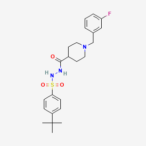 4-(tert-butyl)-N'-{[1-(3-fluorobenzyl)-4-piperidinyl]carbonyl}benzenesulfonohydrazide
