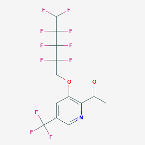 molecular formula C13H8F11NO2 B2466728 1-[3-[(2,2,3,3,4,4,5,5-Octafluoropentyl)oxy]-5-(trifluoromethyl)-2-pyridinyl]-1-ethanone CAS No. 882747-43-5