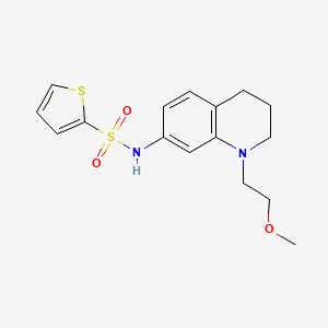 molecular formula C16H20N2O3S2 B2467238 N-(1-(2-甲氧基乙基)-1,2,3,4-四氢喹啉-7-基)噻吩-2-磺酰胺 CAS No. 1171384-15-8