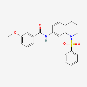 molecular formula C23H22N2O4S B2467762 3-methoxy-N-(1-(phenylsulfonyl)-1,2,3,4-tetrahydroquinolin-7-yl)benzamide CAS No. 1005299-45-5