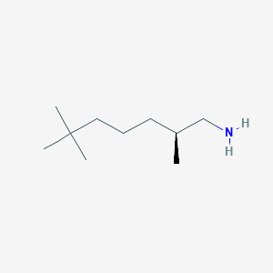 molecular formula C10H23N B2469211 (2S)-2,6,6-Trimethylheptan-1-amine CAS No. 2248209-77-8