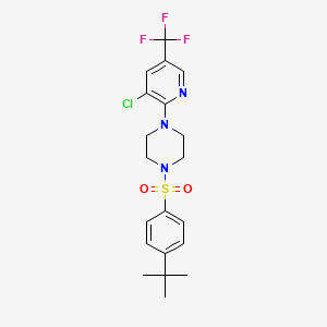 molecular formula C20H23ClF3N3O2S B2469577 1-(4-叔丁基苯磺酰基)-4-[3-氯-5-(三氟甲基)吡啶-2-基]哌嗪 CAS No. 260368-22-7