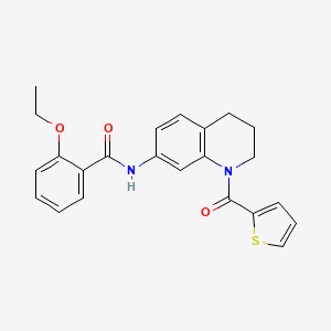 2-ethoxy-N-[1-(thiophene-2-carbonyl)-3,4-dihydro-2H-quinolin-7-yl]benzamide