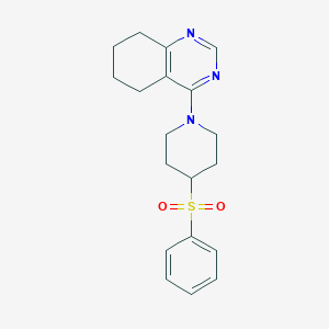 molecular formula C19H23N3O2S B2470932 4-[4-(Benzenesulfonyl)piperidin-1-yl]-5,6,7,8-tetrahydroquinazoline CAS No. 2415509-80-5