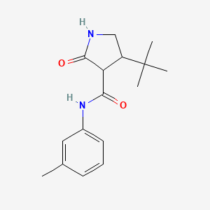 4-tert-butyl-N-(3-methylphenyl)-2-oxopyrrolidine-3-carboxamide