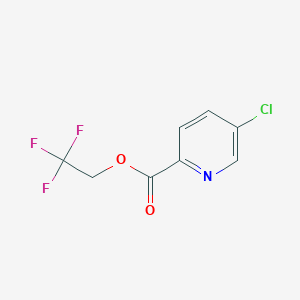 molecular formula C8H5ClF3NO2 B2472890 2,2,2-Trifluoroethyl 5-chloropyridine-2-carboxylate CAS No. 1820687-46-4