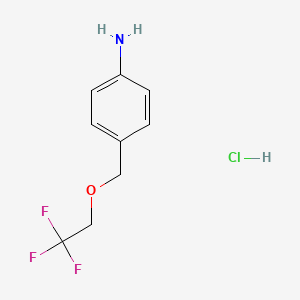 molecular formula C9H11ClF3NO B2473347 4-[(2,2,2-Trifluoroethoxy)methyl]aniline hydrochloride CAS No. 1170855-97-6