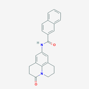 molecular formula C23H20N2O2 B2473397 N-(3-氧代-1,2,3,5,6,7-六氢吡啶并[3,2,1-ij]喹啉-9-基)-2-萘酰胺 CAS No. 903339-51-5