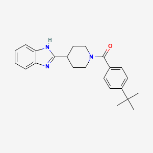 molecular formula C23H27N3O B2473719 [4-(1H-benzimidazol-2-yl)piperidin-1-yl]-(4-tert-butylphenyl)methanone CAS No. 836691-57-7