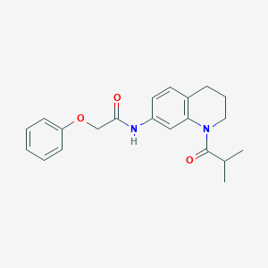 molecular formula C21H24N2O3 B2475039 N-(1-isobutyryl-1,2,3,4-tetrahydroquinolin-7-yl)-2-phenoxyacetamide CAS No. 1005301-15-4