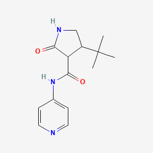 molecular formula C14H19N3O2 B2475279 4-叔丁基-2-氧代-N-(吡啶-4-基)吡咯烷-3-甲酰胺 CAS No. 2097868-87-4