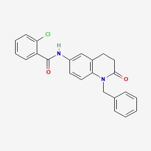 molecular formula C23H19ClN2O2 B2475400 N-(1-苄基-2-氧代-1,2,3,4-四氢喹啉-6-基)-2-氯苯甲酰胺 CAS No. 955220-41-4