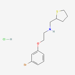 molecular formula C13H19BrClNOS B2475596 [2-(3-Bromophenoxy)ethyl](thiolan-2-ylmethyl)amine hydrochloride CAS No. 1797752-35-2