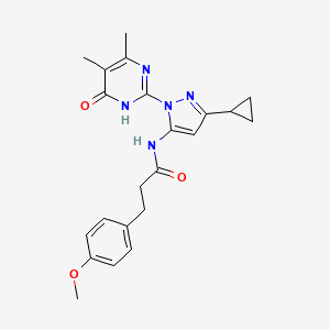 molecular formula C22H25N5O3 B2476493 N-(3-cyclopropyl-1-(4,5-dimethyl-6-oxo-1,6-dihydropyrimidin-2-yl)-1H-pyrazol-5-yl)-3-(4-methoxyphenyl)propanamide CAS No. 1207018-92-5
