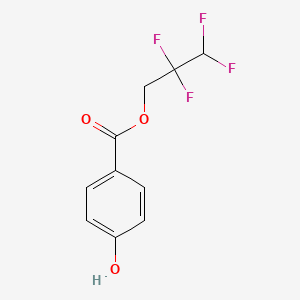 molecular formula C10H8F4O3 B2476828 4-Hydroxy-benzoic acid 2,2,3,3-tetrafluoro-propyl ester CAS No. 238751-63-8