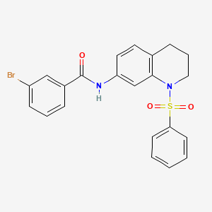 N-[1-(benzenesulfonyl)-1,2,3,4-tetrahydroquinolin-7-yl]-3-bromobenzamide