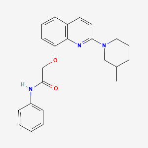 molecular formula C23H25N3O2 B2478479 2-((2-(3-methylpiperidin-1-yl)quinolin-8-yl)oxy)-N-phenylacetamide CAS No. 921807-59-2