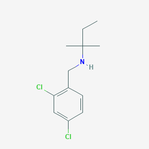molecular formula C12H17Cl2N B2478596 [(2,4-二氯苯基)甲基](2-甲基丁烷-2-基)胺 CAS No. 931991-22-9